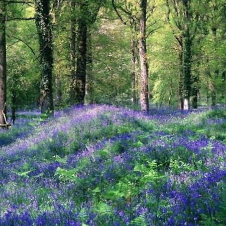 The Cider House Holiday Cottage Welsh Newton Common Bagian luar foto